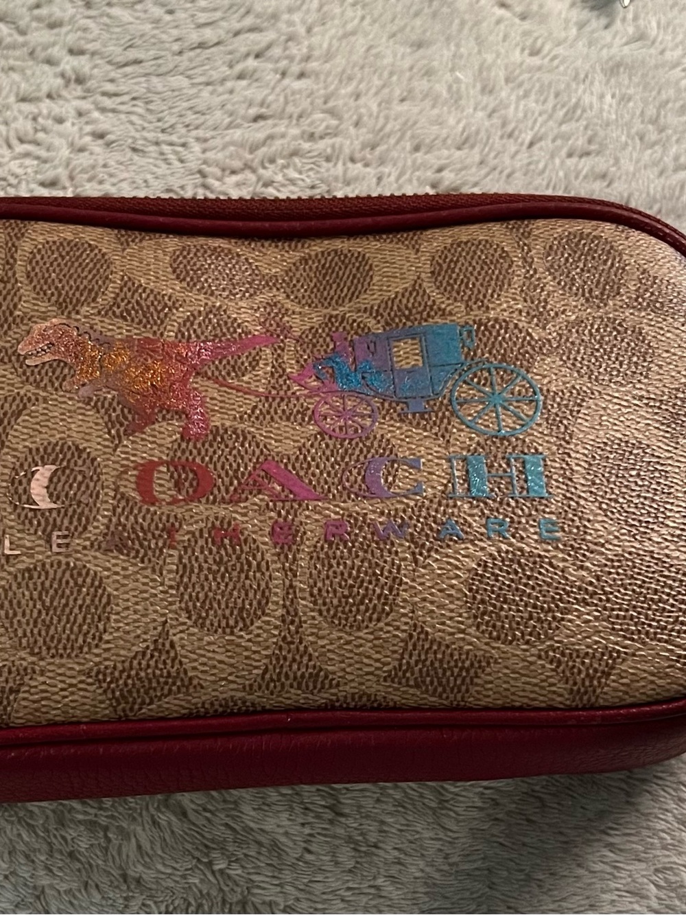 Coach Signature Rexy and Carriage Sadie Crossbody